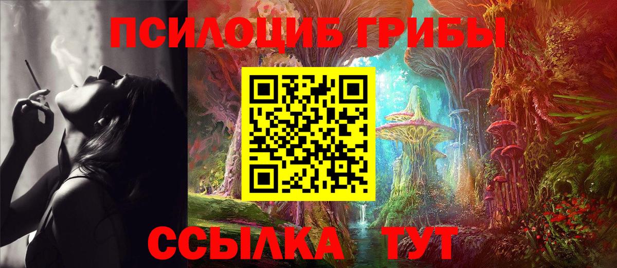 Галлюциногенные грибы прущие грибы Элиста