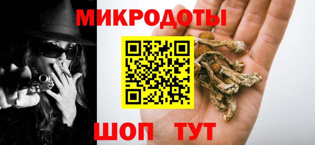 Элиста  Псилоцибиновые грибы Magic Shrooms  хочу наркоту  Вход с VPN 
